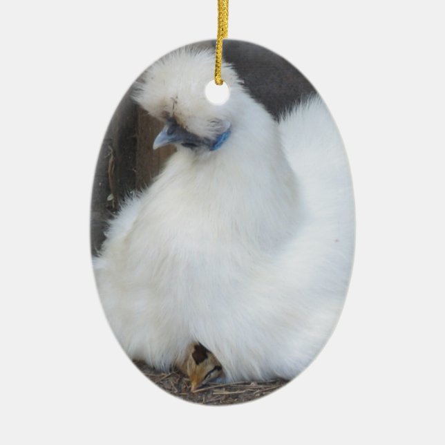 Cute Fluffy White Chicken and Chick ornament (Front)