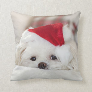 Cute Fluffy White Maltese Puppy Dog in a Santa Hat Cushion