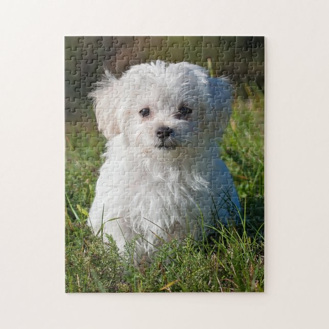 Cute Fluffy White Maltese Puppy Dog Jigsaw Puzzle (Vertical)