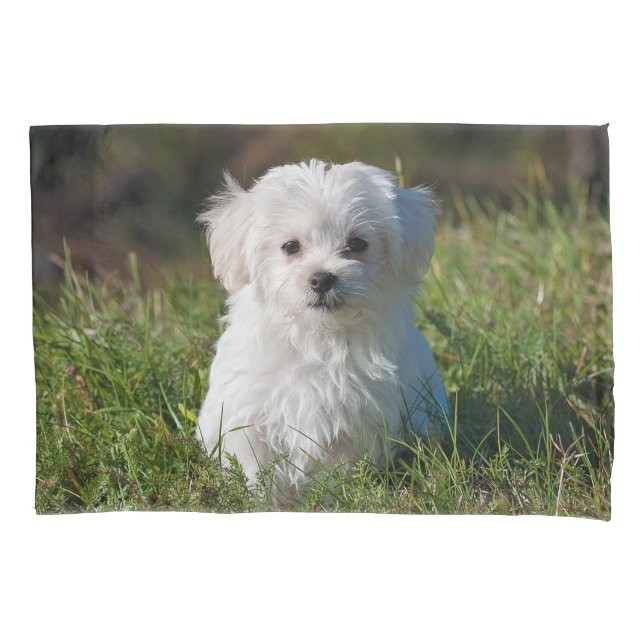 Cute Fluffy White Maltese Puppy Dog Pillowcase (Front)
