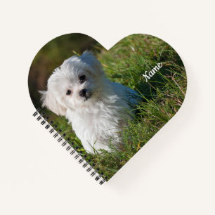 Cute Fluffy White Maltese Puppy  Notebook