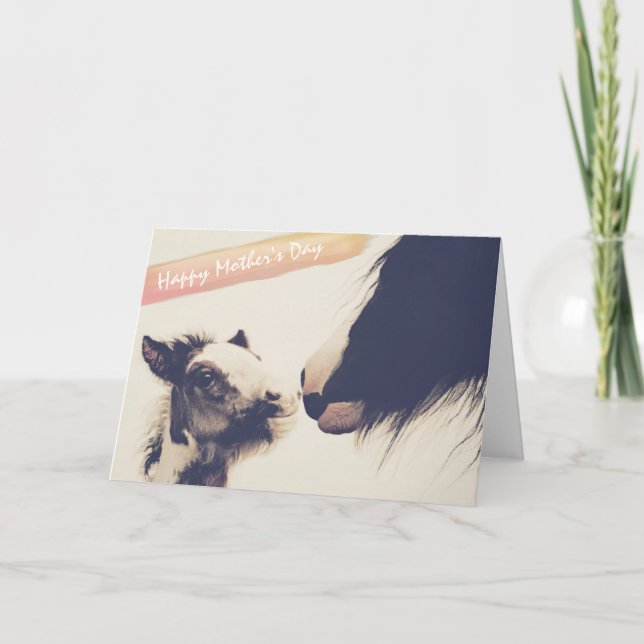 Cute Foal and Mare Horse Happy Mother's Day Card (Front)