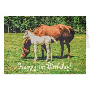Cute Foal Horse Animals Custom Happy 1st Birthday