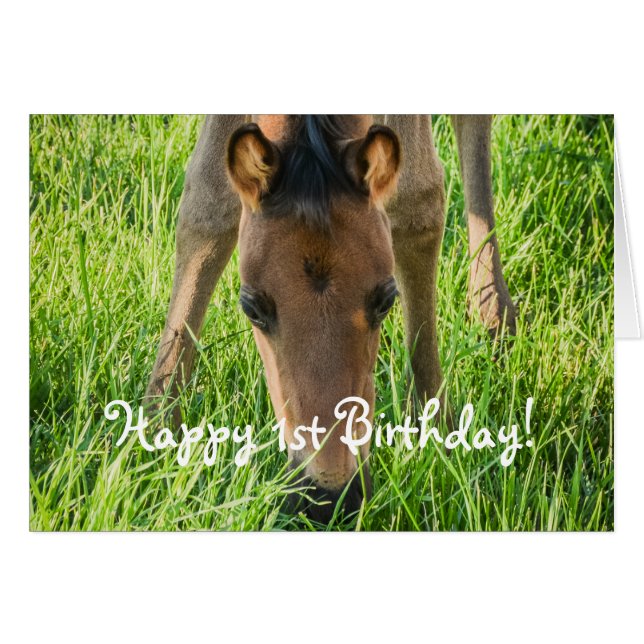 Cute Foal Horse Animals Happy Birthday (Front Horizontal)