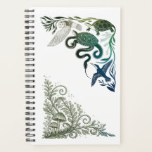 Cute Forest Animals Owl & Turtle Nature Illustrati