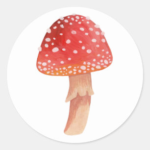 Cute Forest Mushroom   Cottagecore Red Toadstool Classic Round Sticker