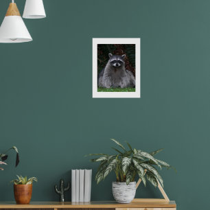 Cute Forest Raccoon Wildlife Photographic Poster