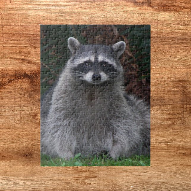 Cute Forest Racoon Nature Jigsaw Puzzle (In Situ)
