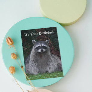 Cute Forest Racoon Photo Funny Birthday Card