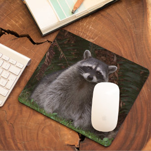 Cute Forest Racoon Photo Mouse Pad