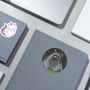 Cute Forest Racoon Wildlife Photo Classic Round Sticker