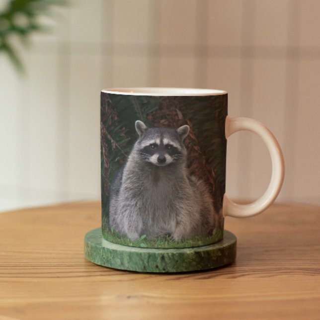 Cute Forest Racoon Wildlife Photo Mug (In Situ Coaster)