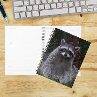 Cute Forest Racoon Wildlife Photo