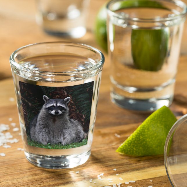 Cute Forest Racoon Wildlife Photo Shot Glass (In Situ)