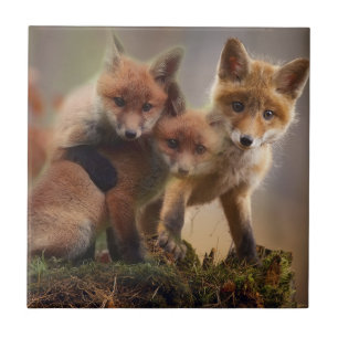 Cute Fox Family Ceramic Tile