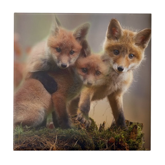 Cute Fox Family Ceramic Tile (Front)
