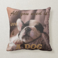 Cute french bulldog|| all you need is...