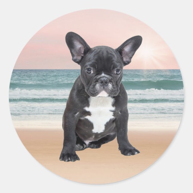 Cute French Bulldog Beach Sun Water Classic Round Sticker (Front)