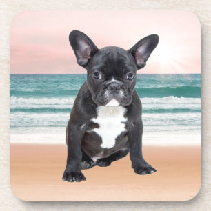 Cute French Bulldog Beach Sun Water Coaster