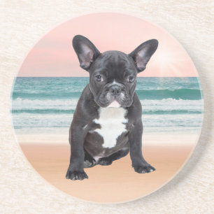Cute French Bulldog Beach Sun Water Coaster