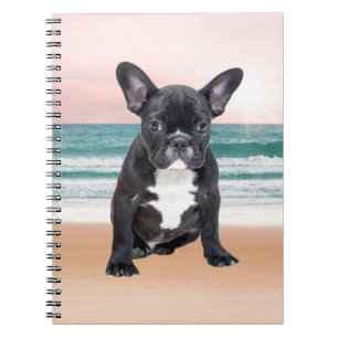 Cute French Bulldog Beach Sun Water Notebook