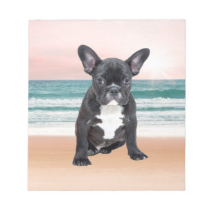 Cute French Bulldog Beach Sun Water Notepad