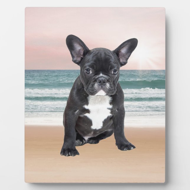 Cute French Bulldog Beach Sun Water Plaque (Front)