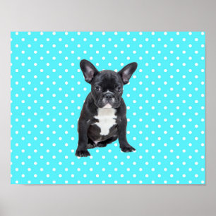 Cute French Bulldog Blue Polka Dots Poster
