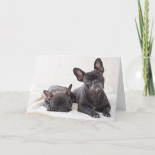 Cute French Bulldog Card