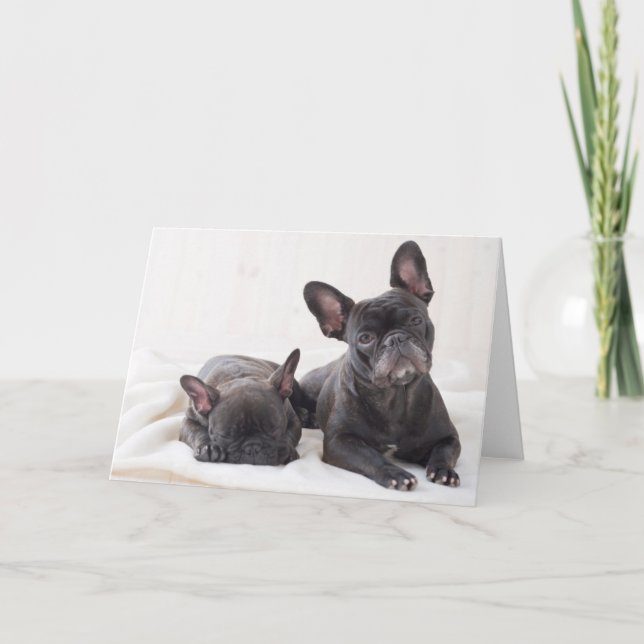 Cute French Bulldog Card (Front)