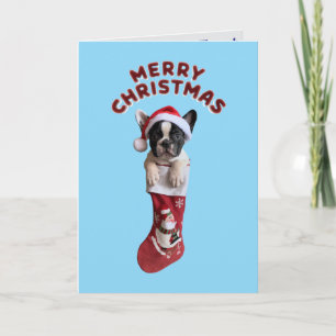 Cute French Bulldog Christmas Card