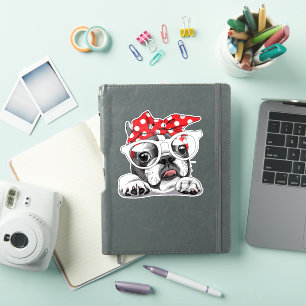 Cute French Bulldog Colourful Headband And Glasses