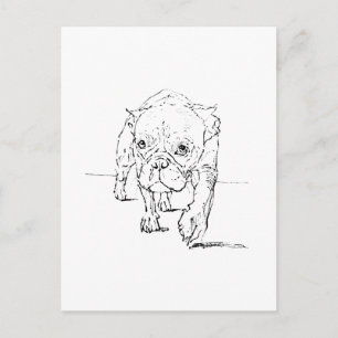 Cute French Bulldog, Dog Illustration Postcard