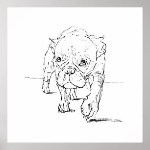 Cute French Bulldog, Dog Illustration  Poster