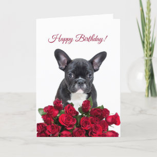 Cute French Bulldog Happy Birthday Red Roses Card