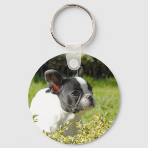 Cute French bulldog on grass Key Ring