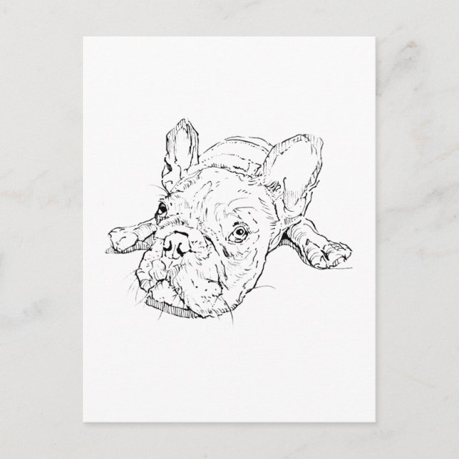 Cute French Bulldog Postcard (Front)