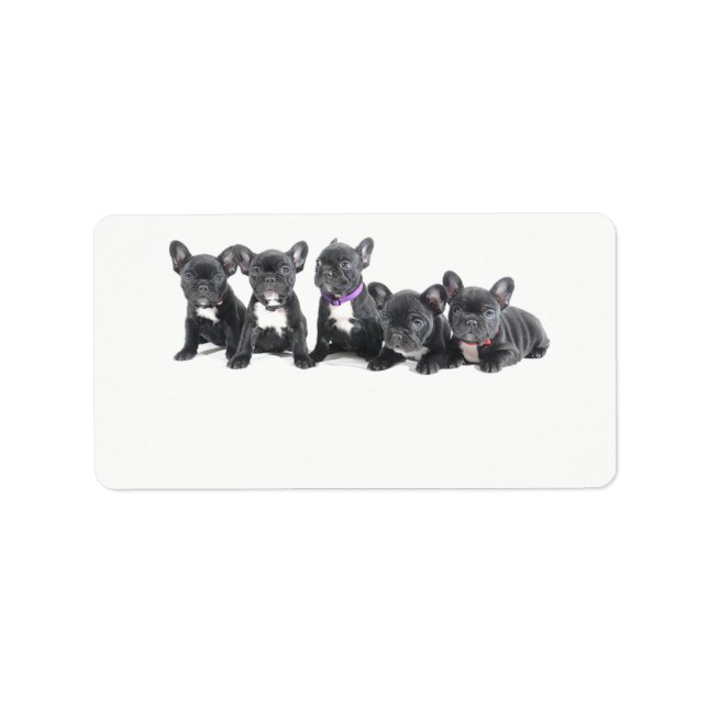 Cute French Bulldog Puppies Label (Front)