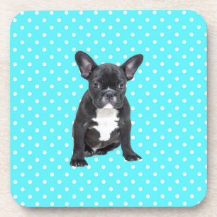 Cute French Bulldog Puppy Blue Polka Dots Coaster