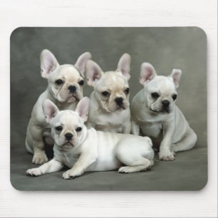 Cute French Bulldog Puppy Dog Mousepad