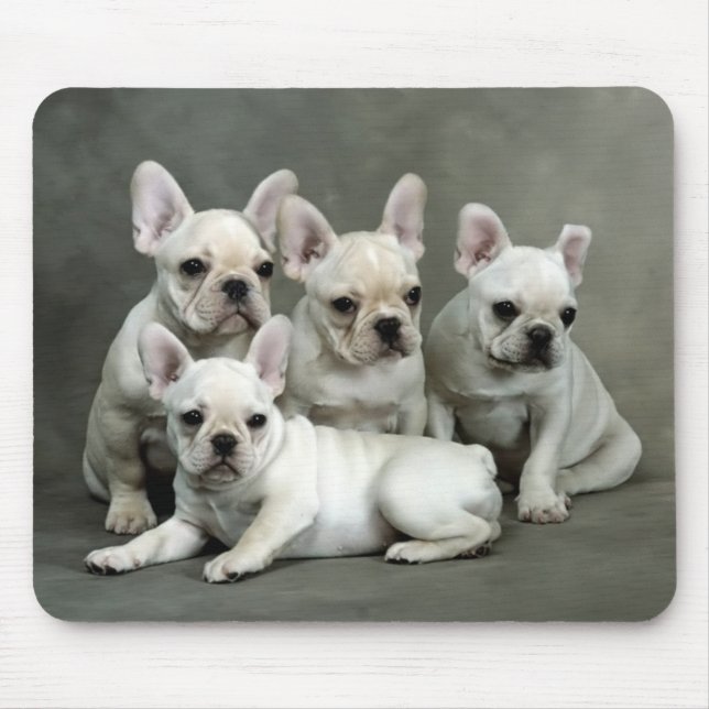 Cute French Bulldog Puppy Dog Mousepad (Front)