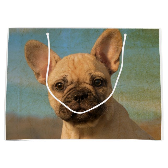 Cute French Bulldog Puppy - Funny Dog Head Photo . Large Gift Bag (Front)