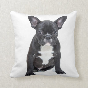 Cute French Bulldog Puppy Pillow