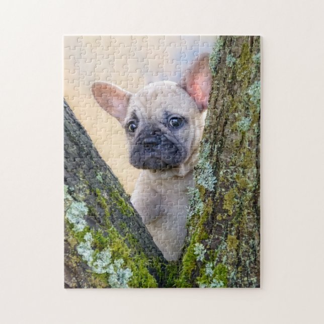 Cute French Bulldog Puppy Posing in a Branch Fork Jigsaw Puzzle (Vertical)