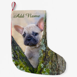 Cute French Bulldog Puppy Posing in a Branch Fork Small Christmas Stocking