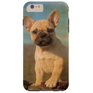 Cute French Bulldog Puppy, Vintage Phonecase Tough iPhone 6 Plus Case