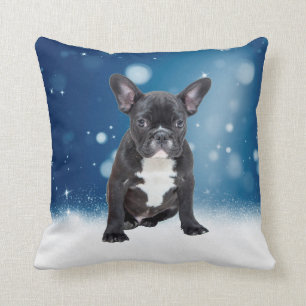 Cute French Bulldog Snow Stars Blue Christmas Cushion