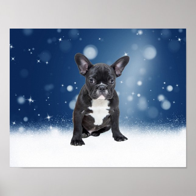 Cute French Bulldog Snow Stars Blue Christmas Poster (Front)