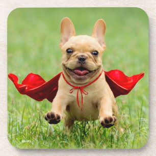 Cute French Bulldog Superhero Runs in Grass Coaster