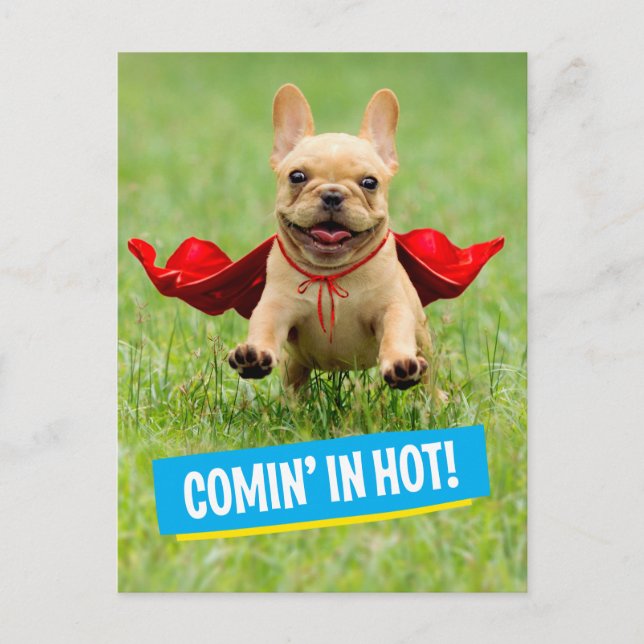 Cute French Bulldog Superhero Runs in Grass Postcard (Front)